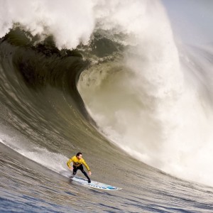 开云app下载-跨界风云，从NBA到足总杯，米兰德甲调整引爆体坛热议，跨界引爆体坛，NBA与足总杯之间，米兰德甲调整成焦点