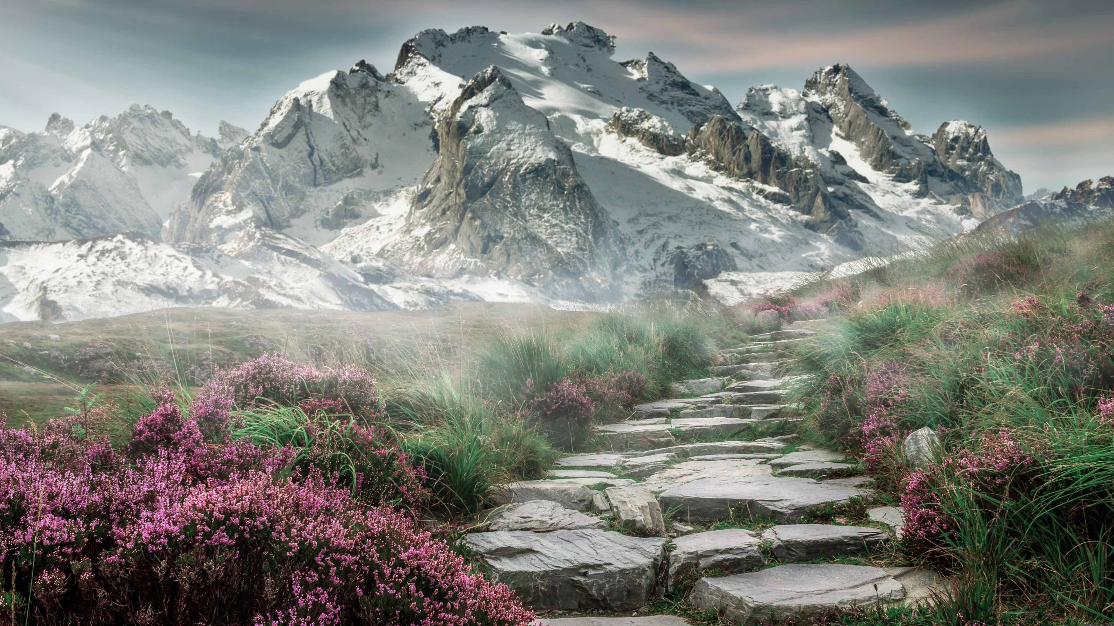 v7.2.5 版本发布,2026年2月28日,一次聚焦稳定与体验的精准进化